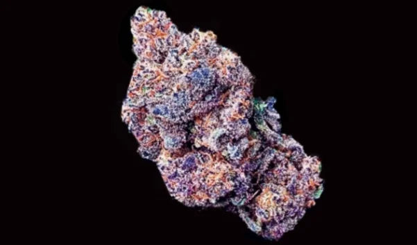 Purple Fruits XL