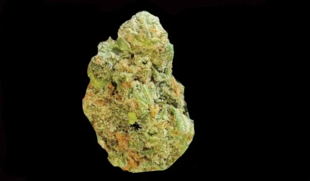 Jack Herer Auto