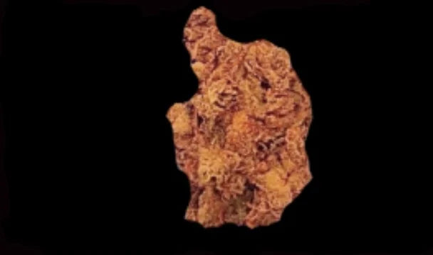 Orange Big Porn Auto
