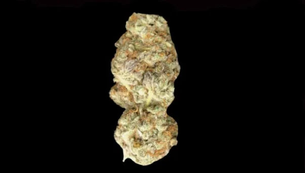 Mango Kush Auto